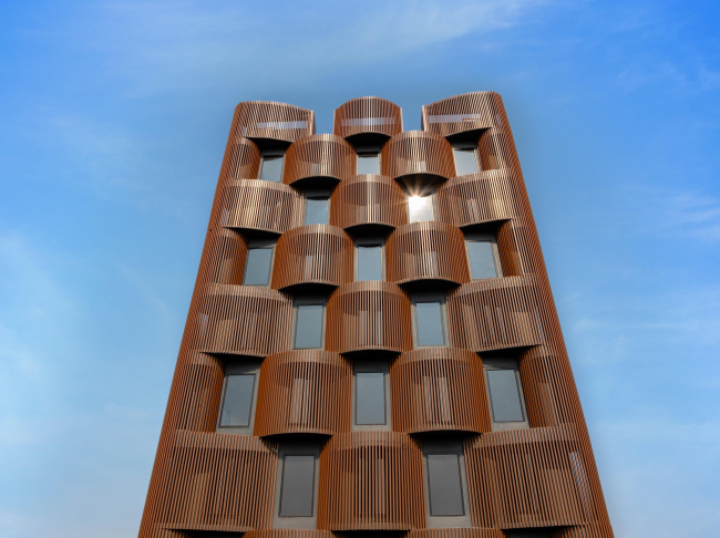 ������� ������ Stella � �������