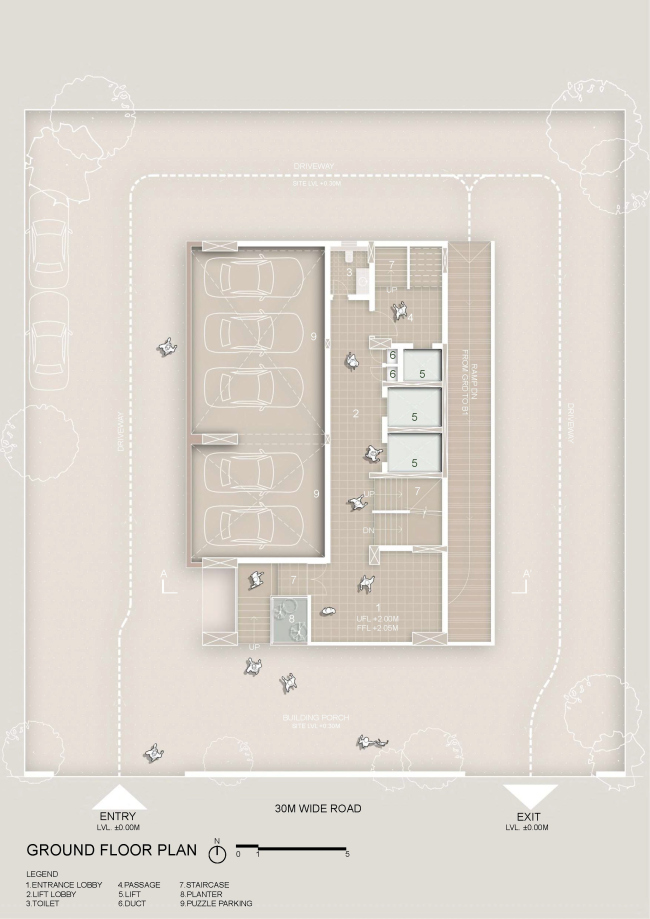 ������� ������ Stella � �������