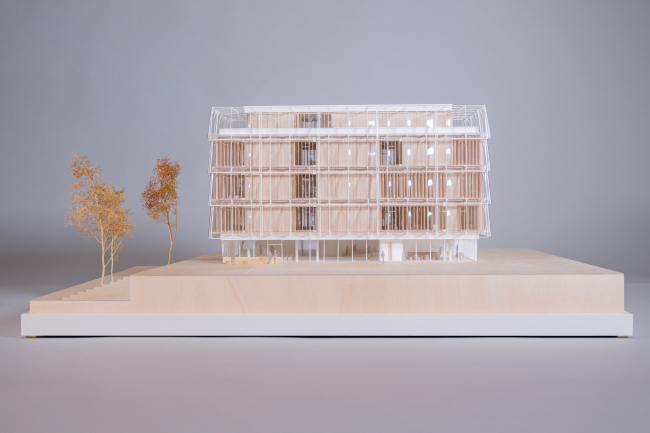 ����� ��������� ����