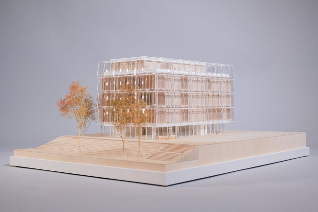 ����� ��������� ����