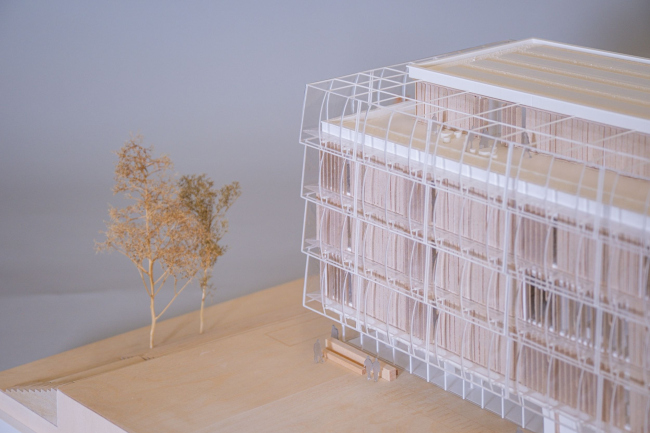 ����� ��������� ����