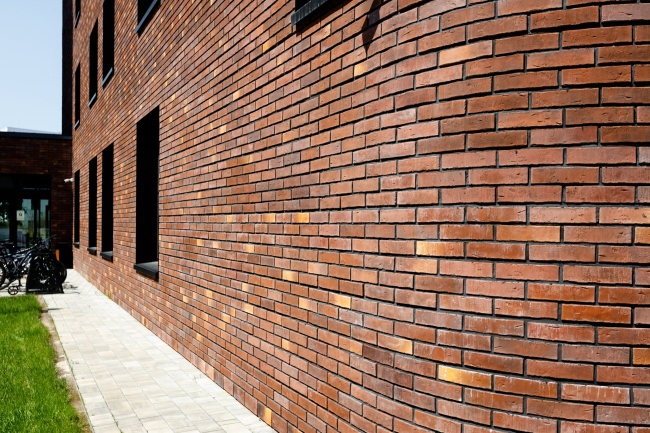 ��������� �������������� ���������������� ������������ (���)