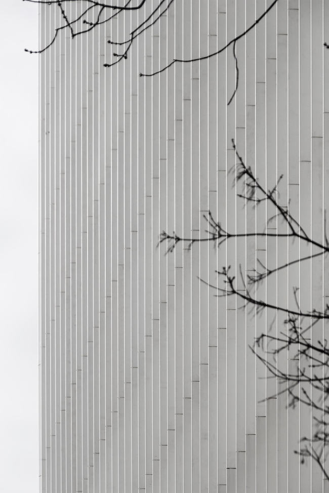 ������-����� �������