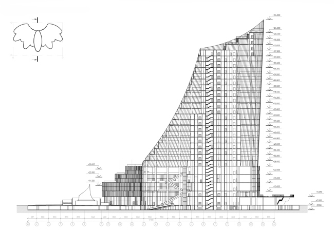 ��� �����. ������� �������� ����. ������ 1-1