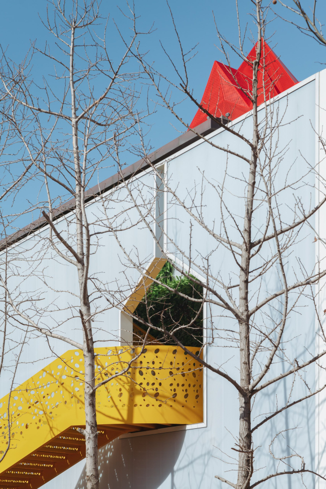 ������� �������� Aranya � �����������