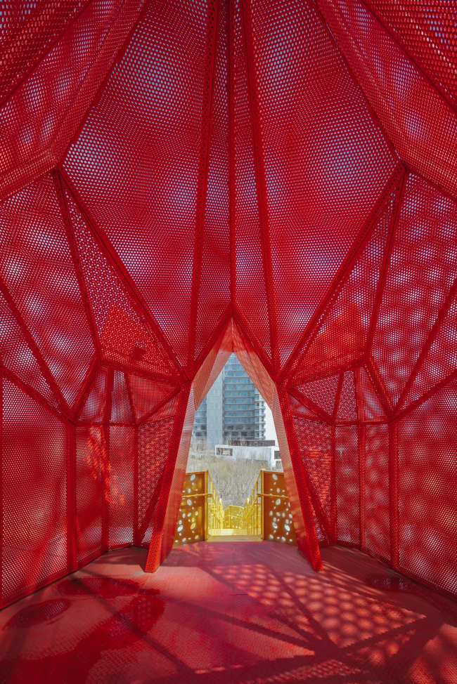 ������� �������� Aranya � �����������