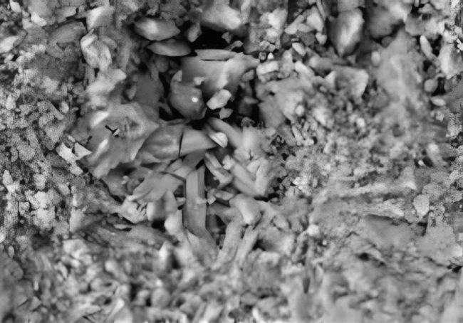 �������������� ������� ����������������� ��������������������