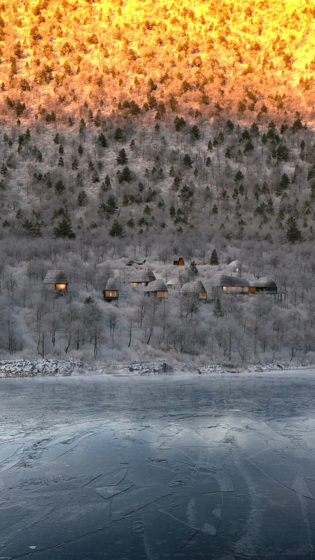 ���� �����