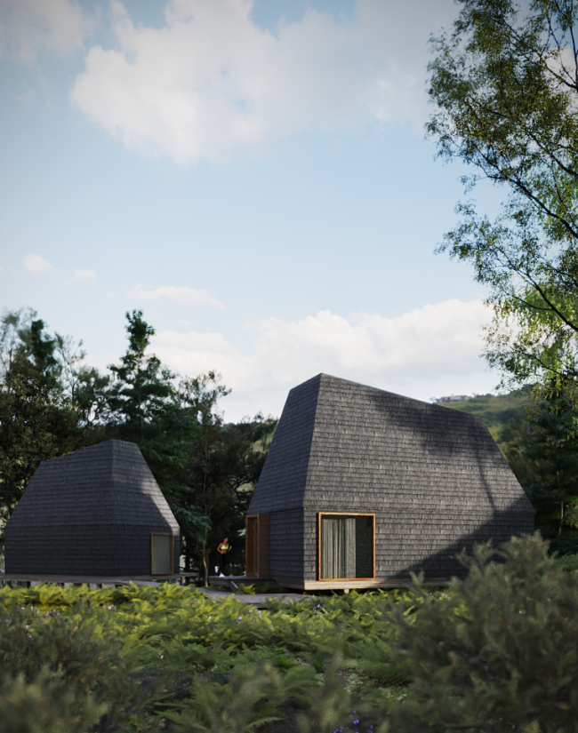 ���� �����