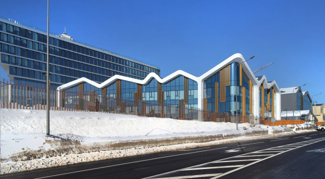 ����� ������� �������