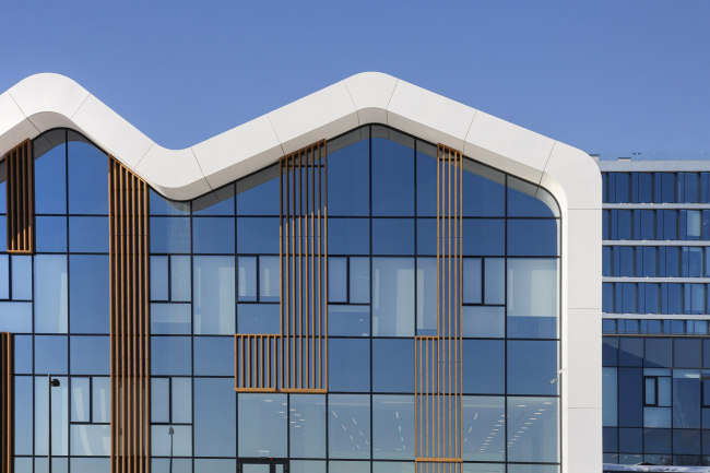 ����� ������� �������