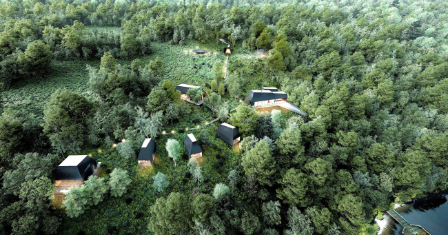 ���� �����