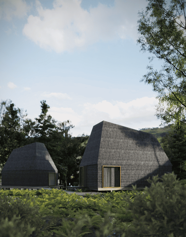 ���� �����