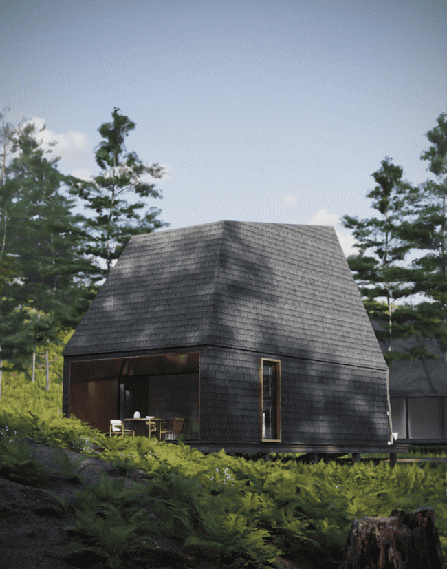 ���� �����