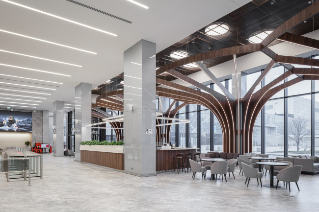 ���� �������� ����������������