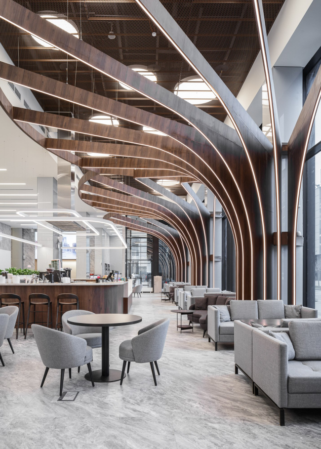 ���� �������� ����������������