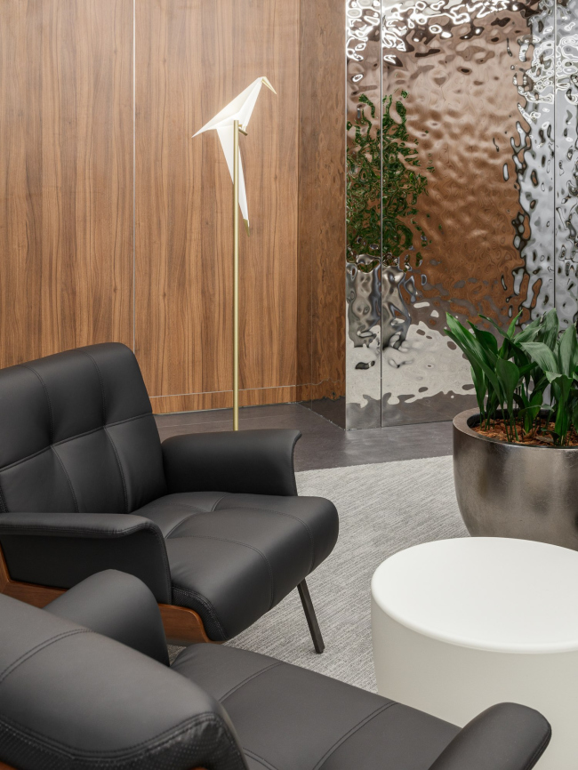 ���� �������� ����������������