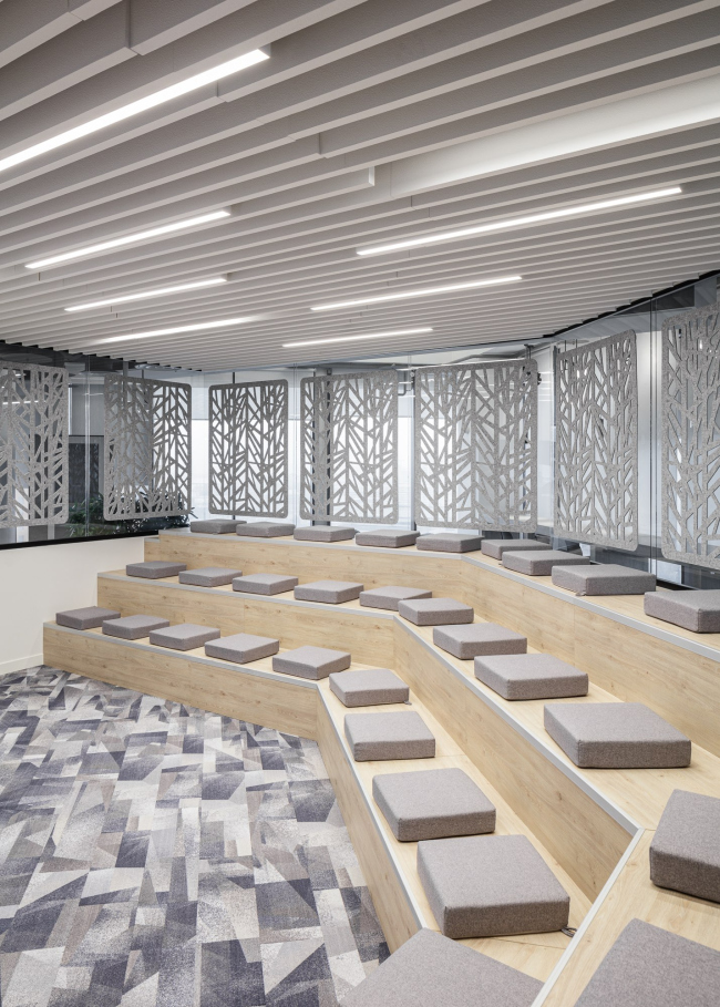 ���� �������� ����������������