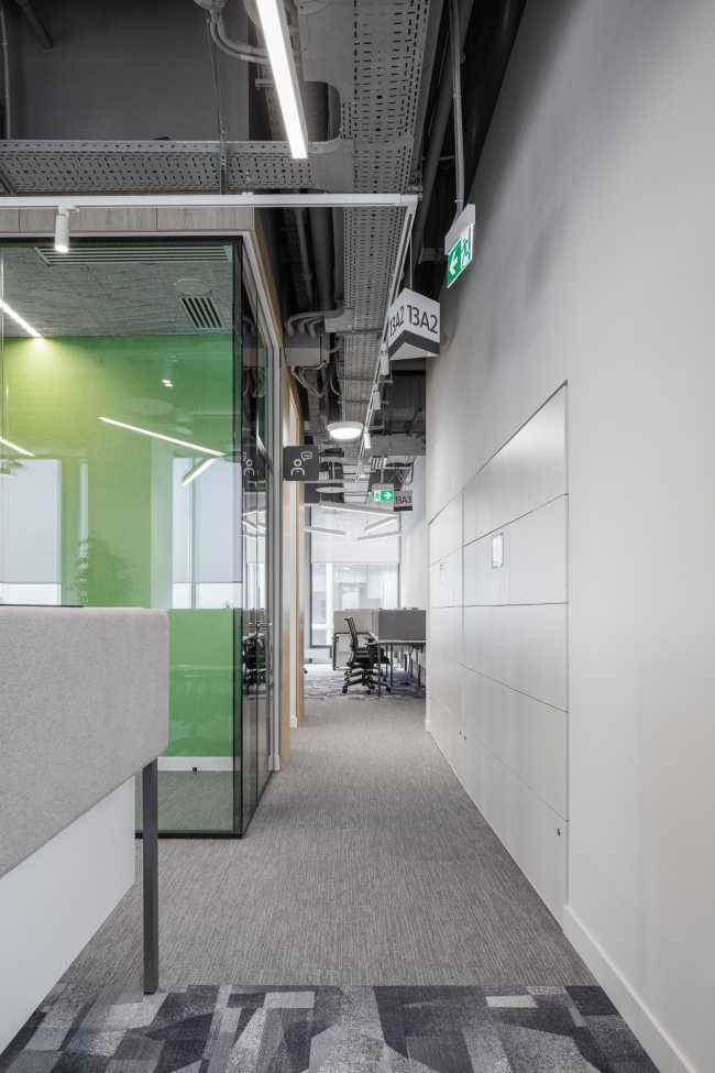 ���� �������� ����������������