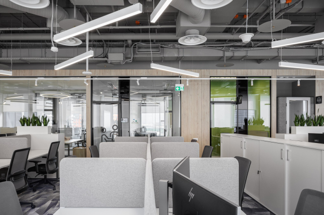 ���� �������� ����������������