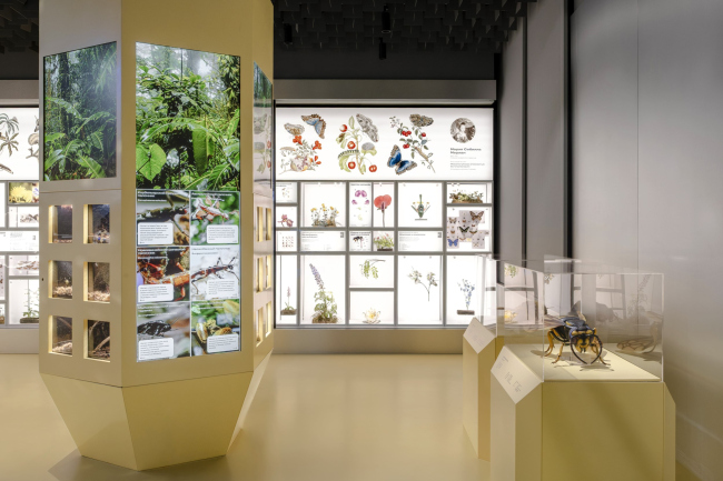 �������� ������������