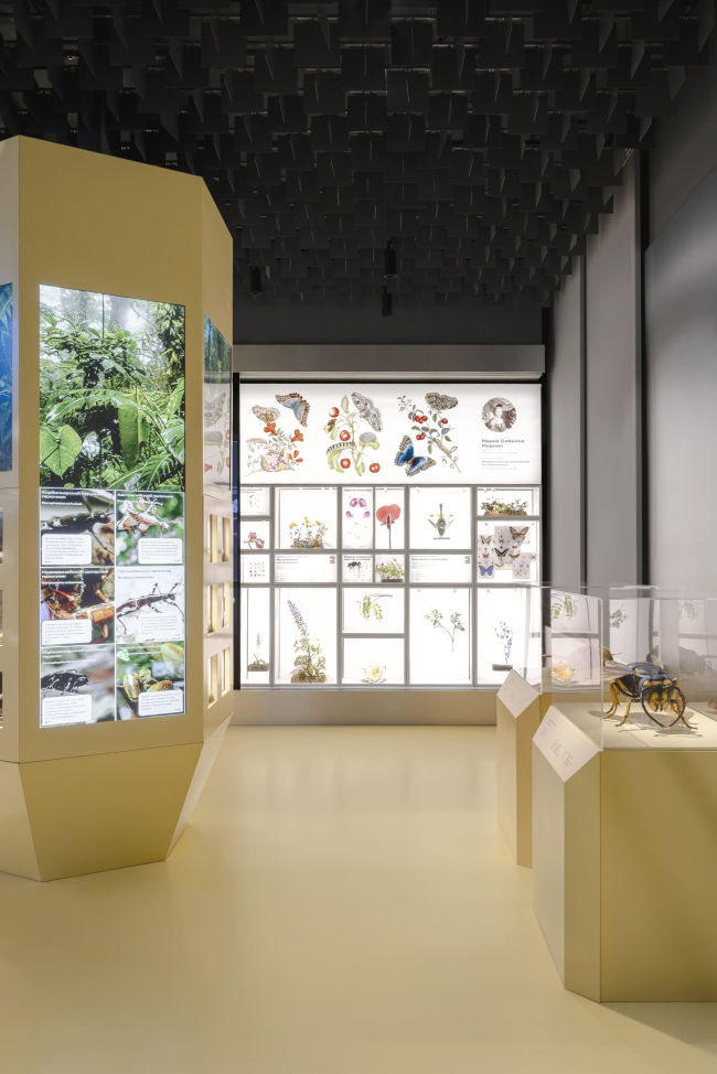 �������� ������������