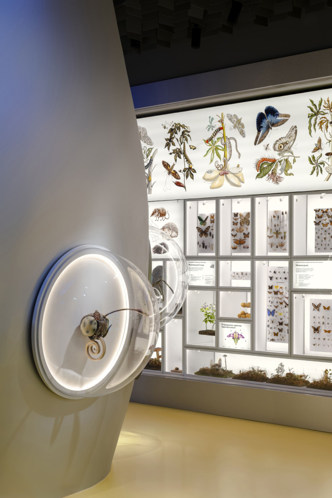 �������� ������������