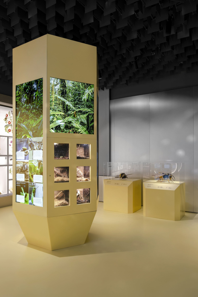 �������� ������������