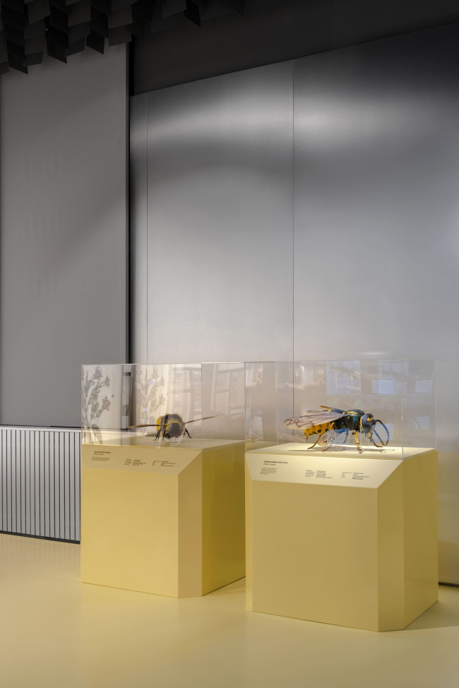 �������� ������������