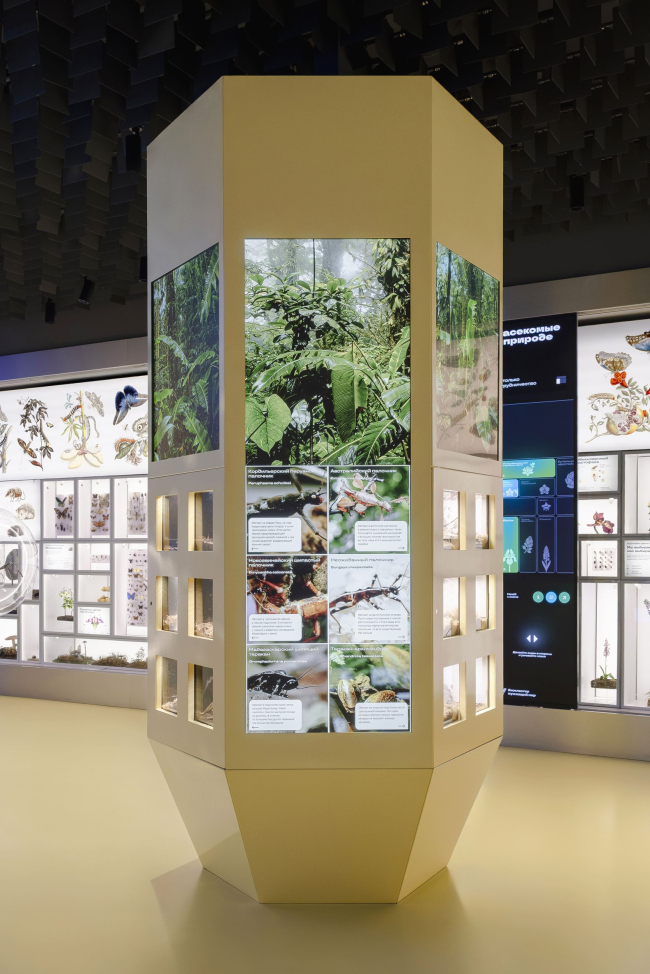 �������� ������������