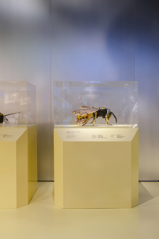 �������� ������������