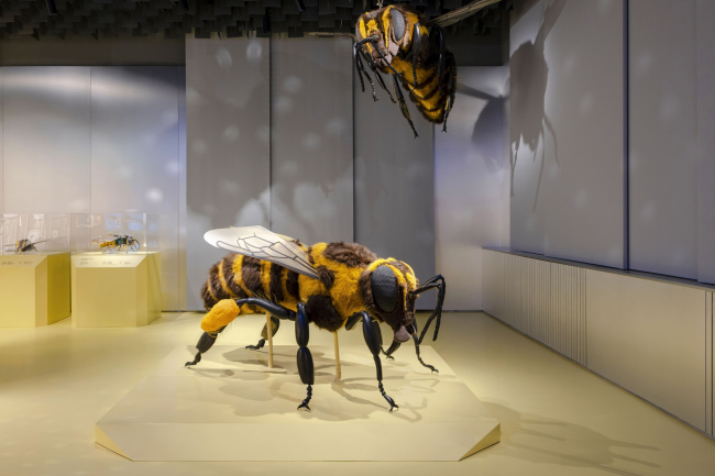 �������� ������������