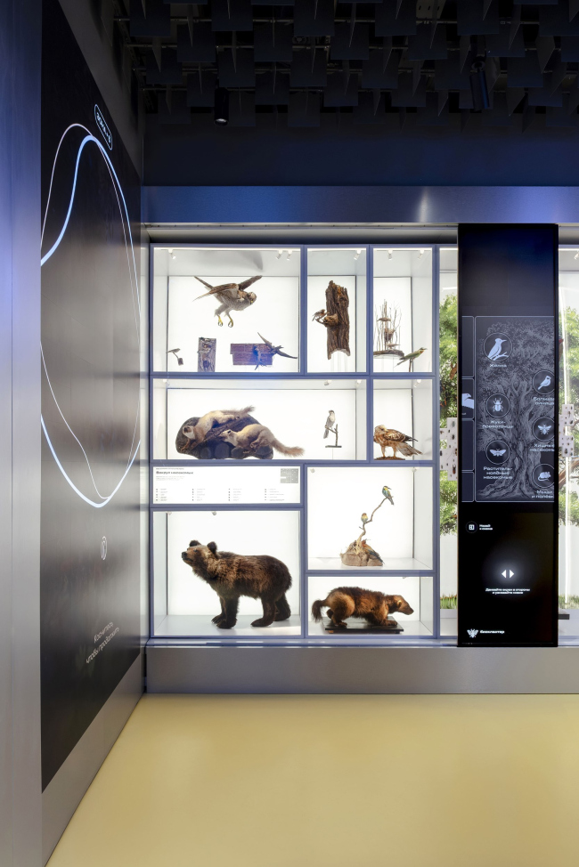 �������� ������������