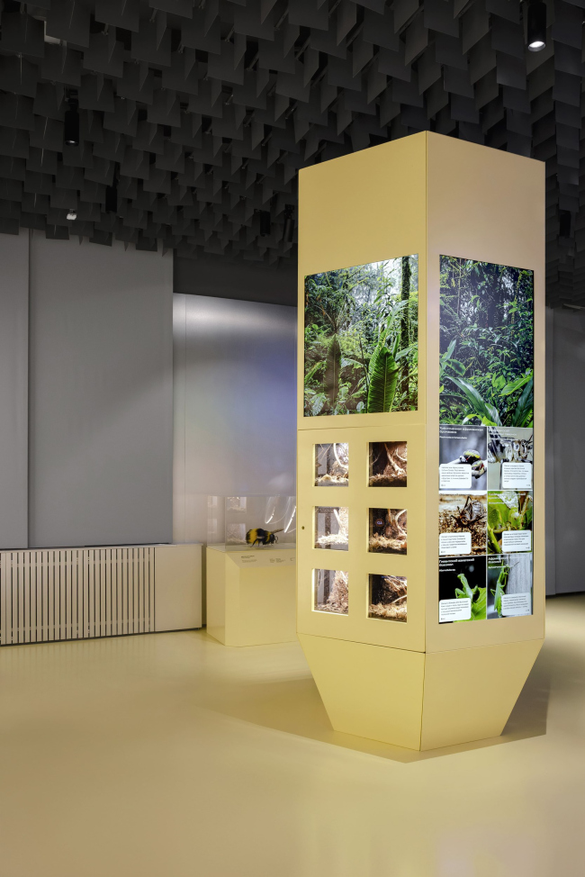 �������� ������������