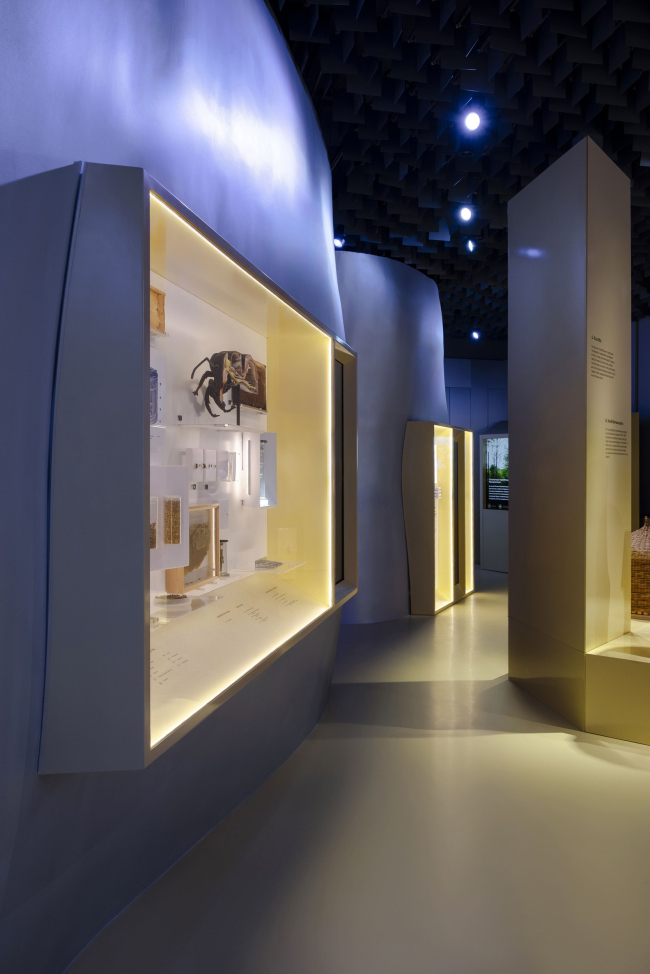 �������� ������������