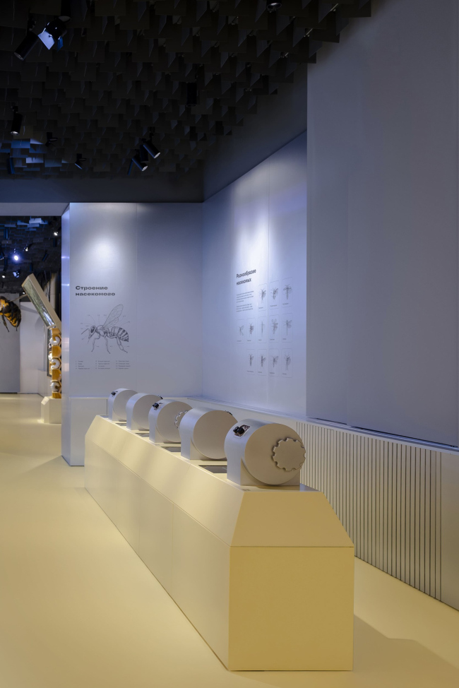 �������� ������������