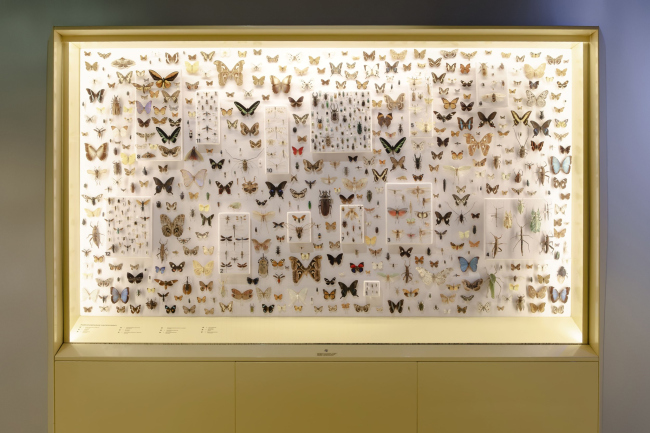 �������� ������������