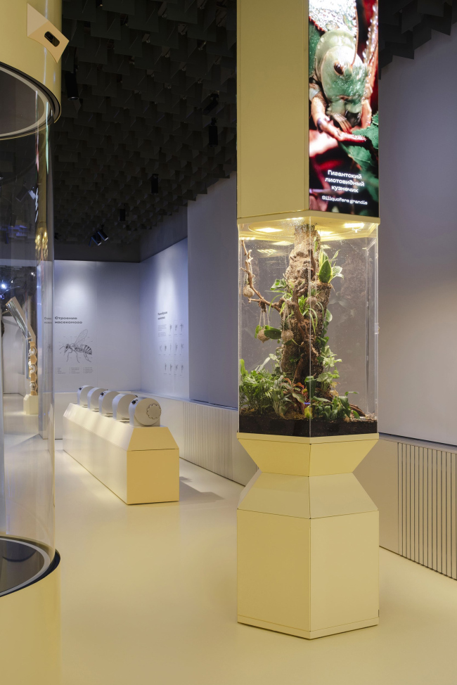 �������� ������������