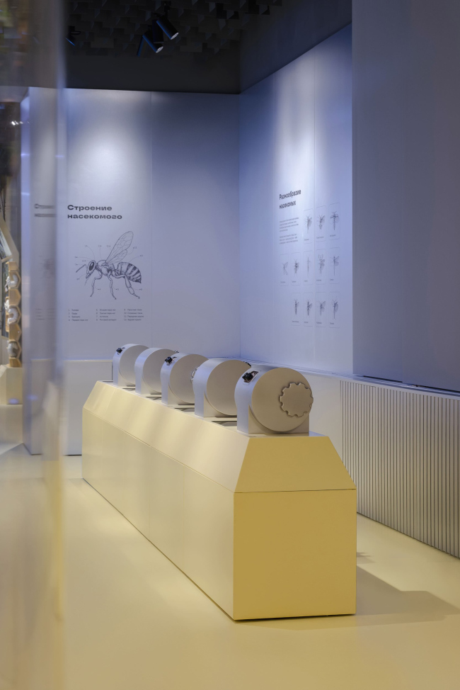 �������� ������������