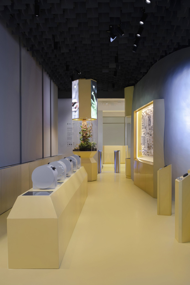 �������� ������������