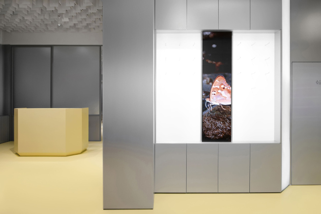 �������� ������������