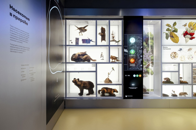 �������� ������������