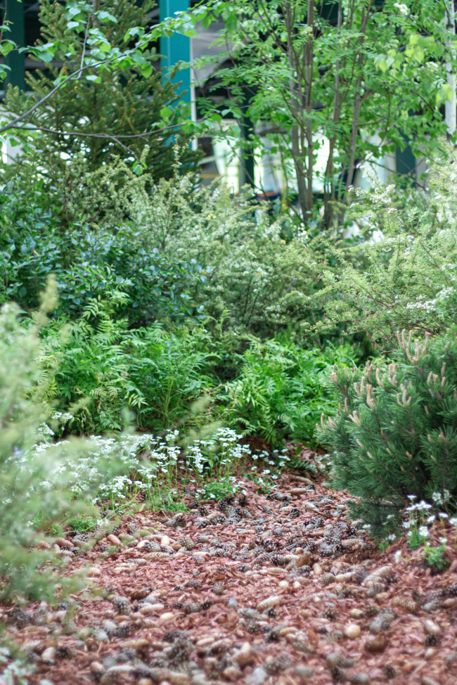 ������ ������