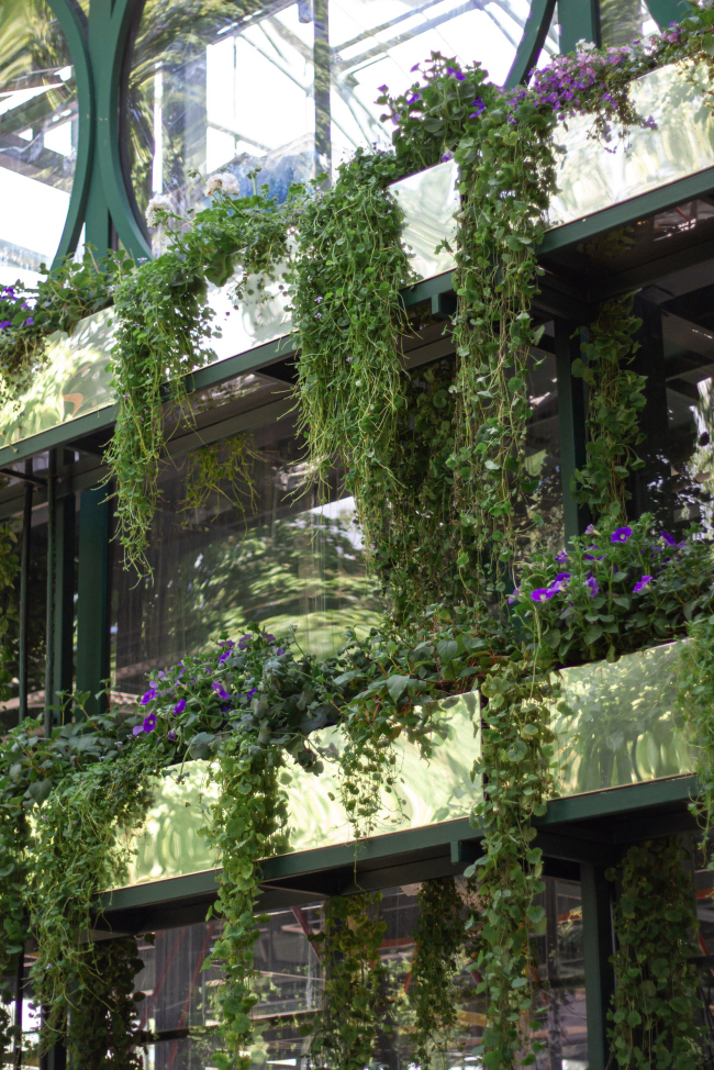 ������ ������