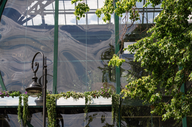 ������ ������