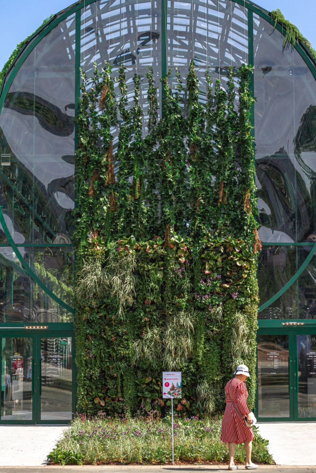 ������ ������