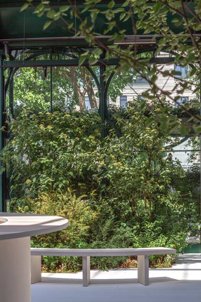 ������ ������