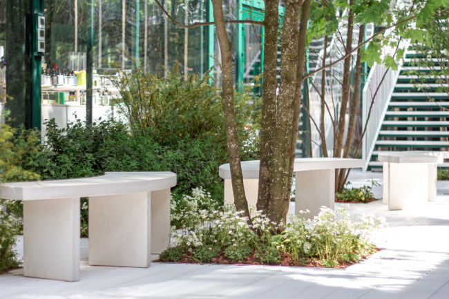 ������ ������