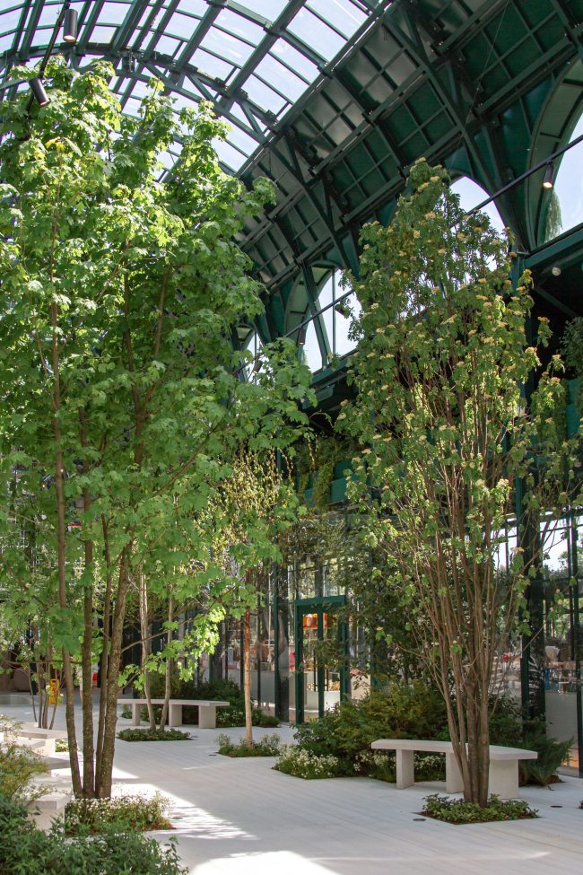 ������ ������