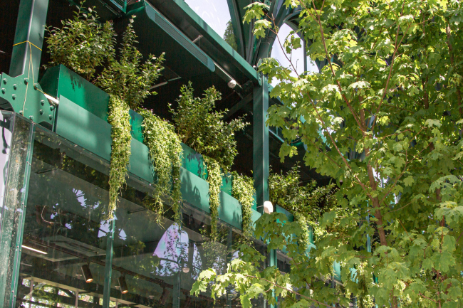 ������ ������